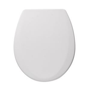 Badezimmer Toilettensitz